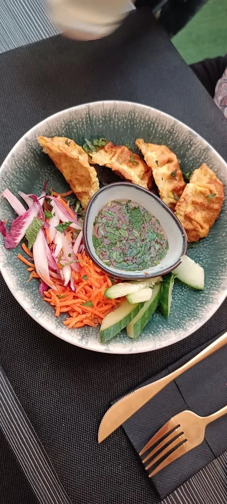 Gyoza Légumes